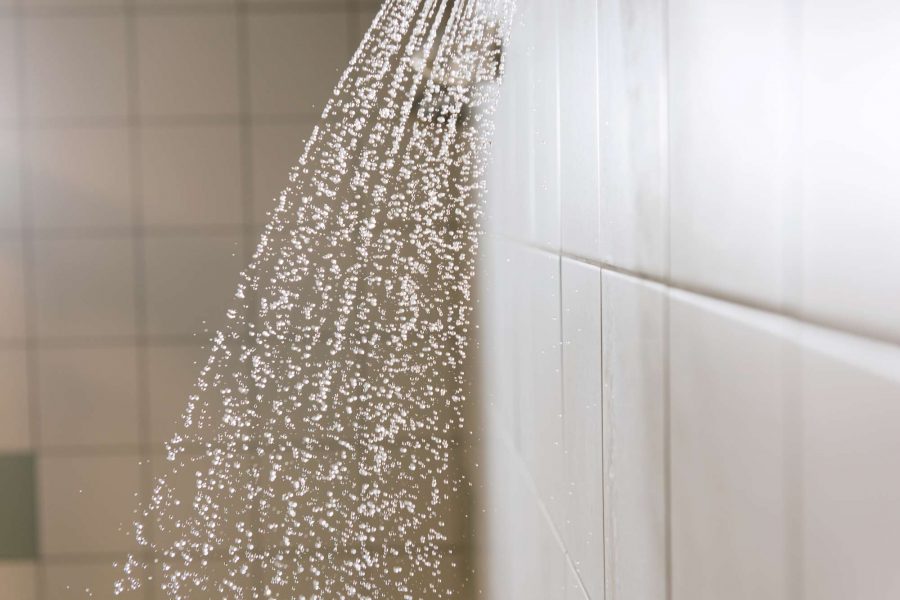 Legionella douchekop